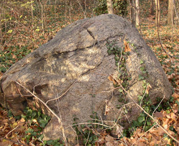 15,000 BC-The University District in the Last Ice Age